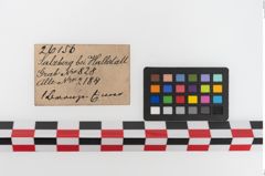 Etiketten zu Bronzesitula (NHMW-PRAE-026156)